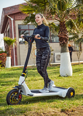 Mobility 13'' Rear Wheel Dc Motor E Bike Scooter